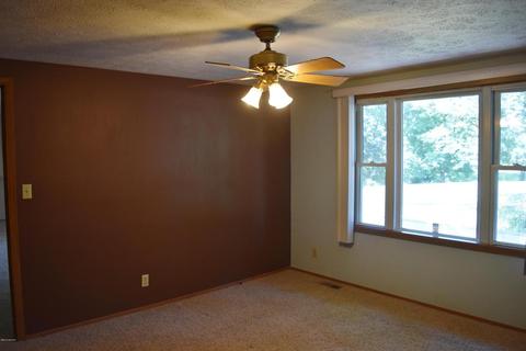 7360 Cox Rd, Bellevue, MI 49021 photo 17