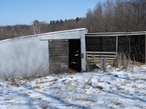 12101 Curtis Rd, Bellevue, MI 49021 photo 3