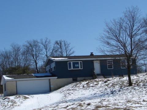 12101 Curtis Rd, Bellevue, MI 49021 photo 1
