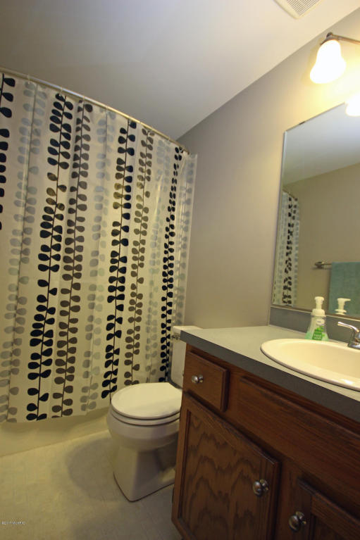 5771 Fulton St E, Ada, MI 49301 photo 24