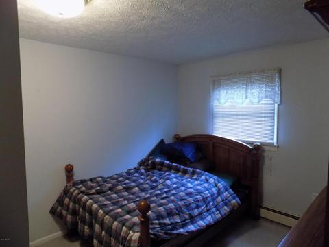 4839 Outer Dr, Grawn, MI 49637 photo 17
