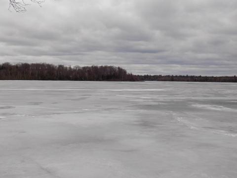 4839 Outer Dr, Grawn, MI 49637 photo 37