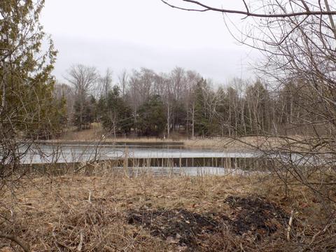 4839 Outer Dr, Grawn, MI 49637 photo 49