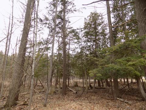4839 Outer Dr, Grawn, MI 49637 photo 35