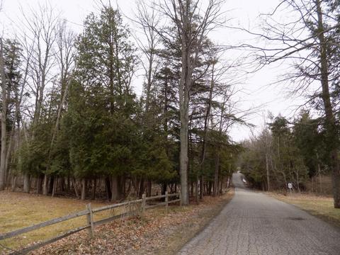 4839 Outer Dr, Grawn, MI 49637 photo 44