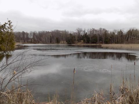 4839 Outer Dr, Grawn, MI 49637 photo 2