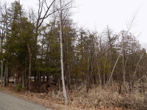 4839 Outer Dr, Grawn, MI 49637 photo 48