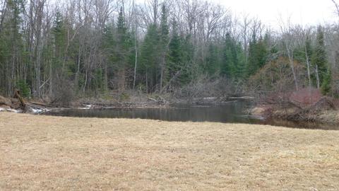 210 W Elder Rd, Harrison, MI 48625 photo 9