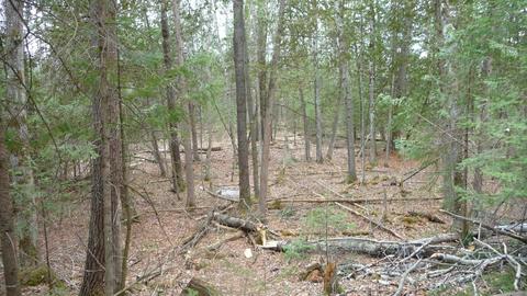 210 W Elder Rd, Harrison, MI 48625 photo 39