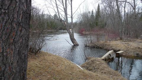 210 W Elder Rd, Harrison, MI 48625 photo 32
