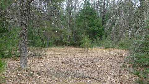 210 W Elder Rd, Harrison, MI 48625 photo 20
