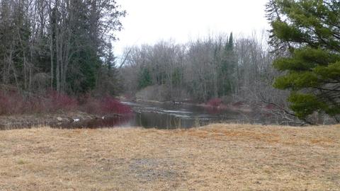 210 W Elder Rd, Harrison, MI 48625 photo 11