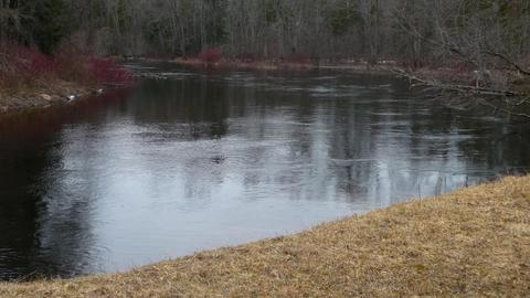 210 W Elder Rd, Harrison, MI 48625 photo 14