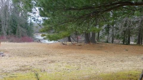 210 W Elder Rd, Harrison, MI 48625 photo 7