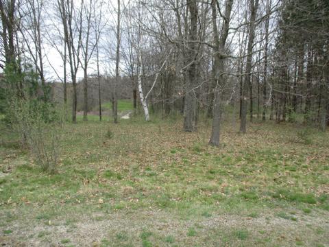 12875 Riverview Dr, Gowen, MI 49326 photo 1
