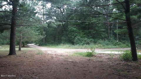 11286 M 37, Baldwin, MI 49304 photo 18