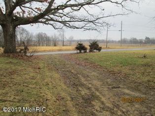 55290 Flatbush Rd, Three Rivers, MI 49093 photo 3