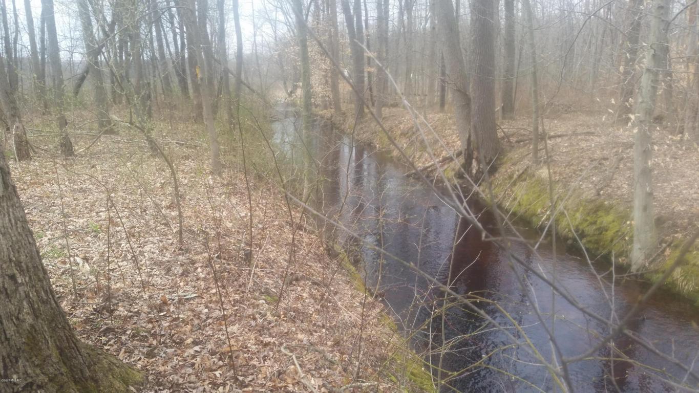 31781 Brandywine Rd, Gobles, MI 49055 photo 5