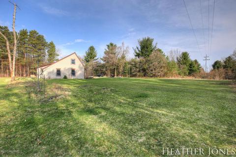 125 Peterman Dr, Stanton, MI 48888 photo 19