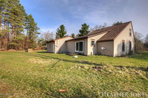 125 Peterman Dr, Stanton, MI 48888 photo 20