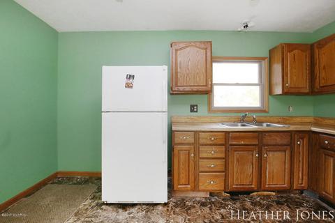 125 Peterman Dr, Stanton, MI 48888 photo 12