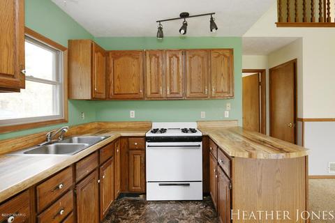 125 Peterman Dr, Stanton, MI 48888 photo 11