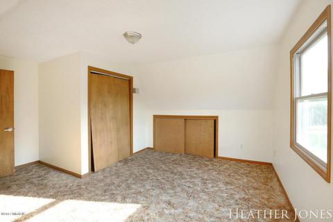 125 Peterman Dr, Stanton, MI 48888 photo 16
