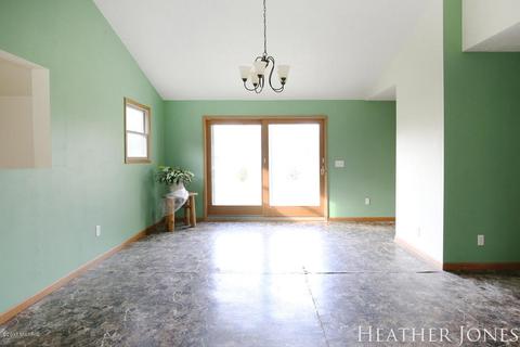 125 Peterman Dr, Stanton, MI 48888 photo 8