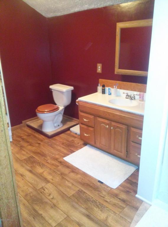 235 E High St, Hastings, MI 49058 photo 11