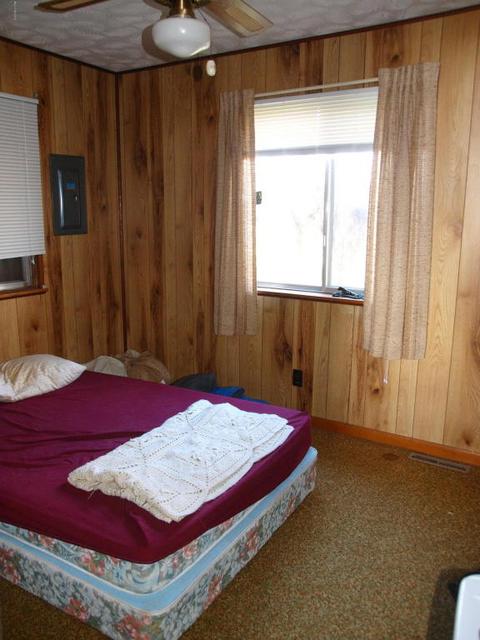 1171 Lyle Dr, Crystal, MI 48818 photo 14