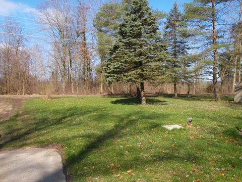 1171 Lyle Dr, Crystal, MI 48818 photo 4