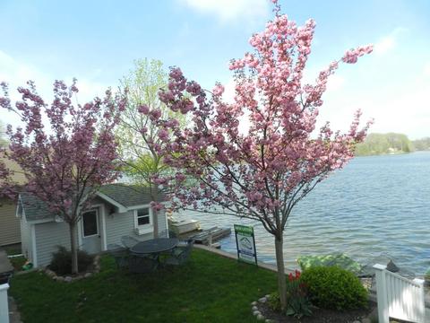 11046 Long Point Dr, Plainwell, MI 49080 photo 44