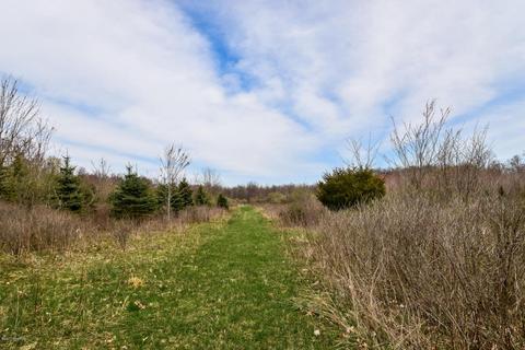 4950 Zahm Rd, Belding, MI 48809 photo 57