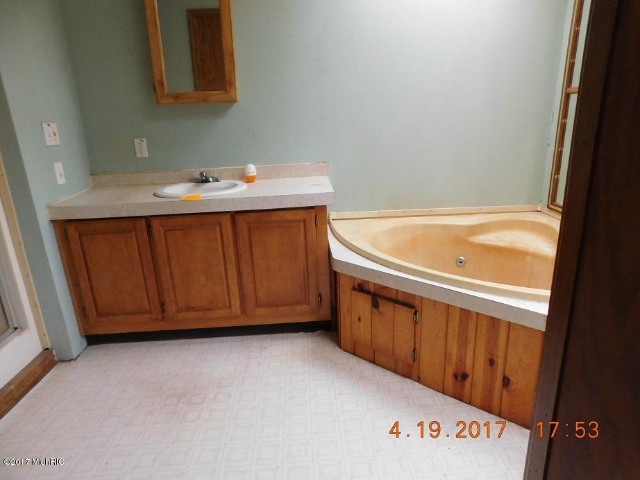 883 Horse Shoe Trl, Stanton, MI 48888 photo 15