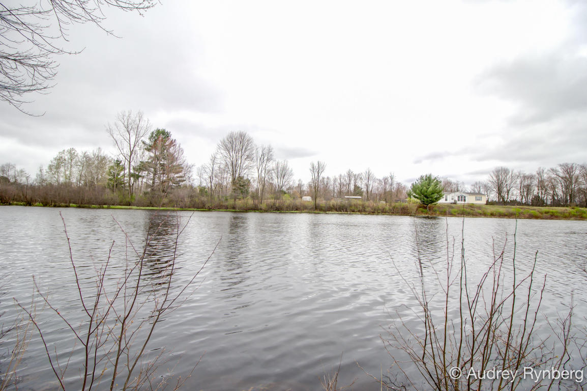 170 S Webster St, White Cloud, MI 49349 photo 34
