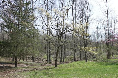 11200 Bacon Rd, Plainwell, MI 49080 photo 7
