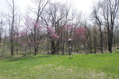 11200 Bacon Rd, Plainwell, MI 49080 photo 6