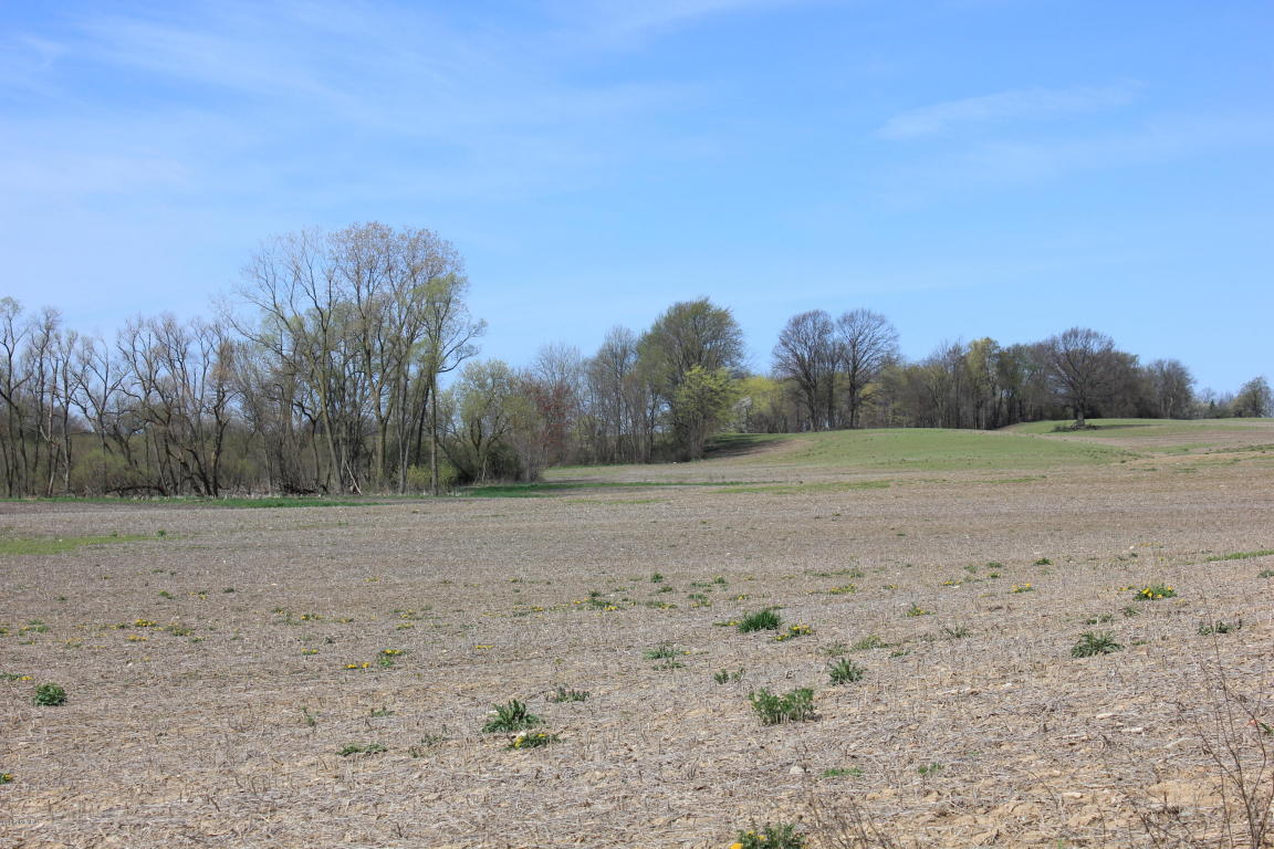 1410 146th Ave, Dorr, MI 49323 photo 30