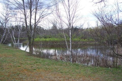 1795 E Riverview Dr, White Cloud, MI 49349 photo 4