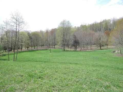 8400 E Fish Dr, Hesperia, MI 49421 photo 40