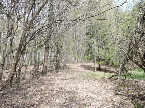 8400 E Fish Dr, Hesperia, MI 49421 photo 34