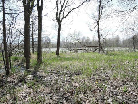 8400 E Fish Dr, Hesperia, MI 49421 photo 47