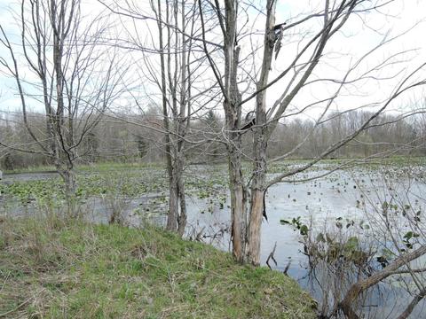 8400 E Fish Dr, Hesperia, MI 49421 photo 57