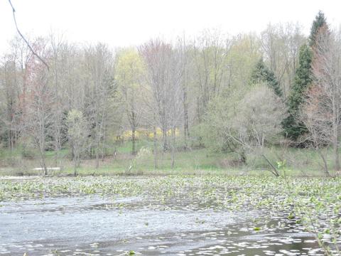 8400 E Fish Dr, Hesperia, MI 49421 photo 60