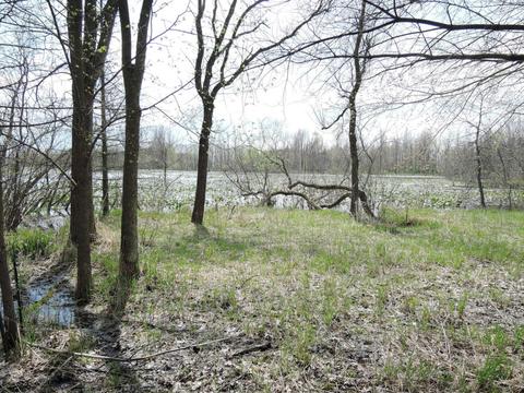 8400 E Fish Dr, Hesperia, MI 49421 photo 46