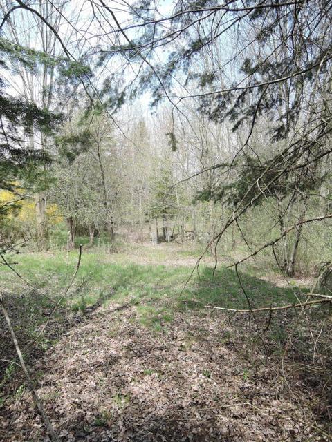 8400 E Fish Dr, Hesperia, MI 49421 photo 48