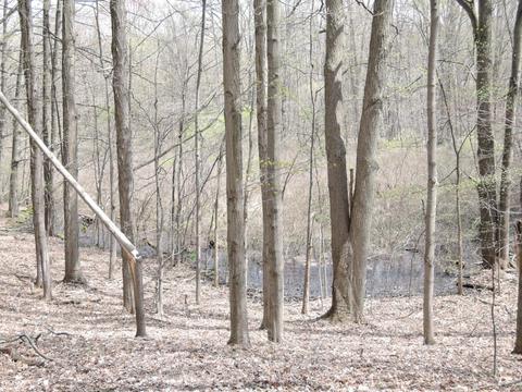 8400 E Fish Dr, Hesperia, MI 49421 photo 36