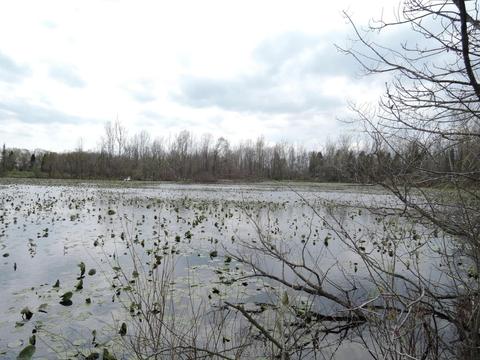 8400 E Fish Dr, Hesperia, MI 49421 photo 58