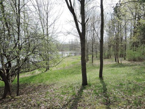 8400 E Fish Dr, Hesperia, MI 49421 photo 66