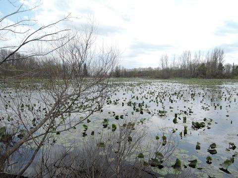 8400 E Fish Dr, Hesperia, MI 49421 photo 56